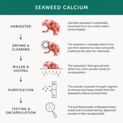 Together Seaweed Calcium 60 Caps -Optimal Home Furnishings 21845 4