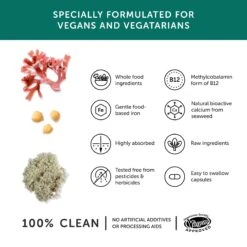 Together B12 Vegan Multivitamin 60 Caps 11 Together B12 Vegan Multivitamin 60 Caps -Optimal Home Furnishings 21847 3