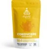 Hybrid Herbs Cordyceps CS4Sinensis Extract Powder 56g 1 Hybrid Herbs Cordyceps CS4Sinensis Extract Powder 56g -Optimal Home Furnishings 22259new