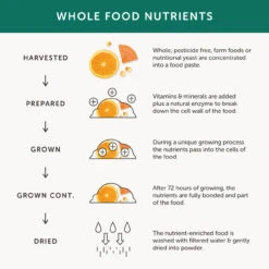 Together Woman’s Multivitamin 30 Caps -Optimal Home Furnishings 24689 4