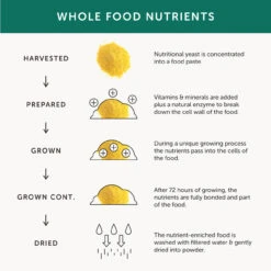 Together Health WholeVitT Gentle Iron Complex 30 Caps -Optimal Home Furnishings 24691 4