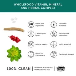 Together Health WholeVitT Stress Aid Complex 30 Caps -Optimal Home Furnishings 24693 3