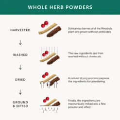 Together Health WholeVitT Stress Aid Complex 30 Caps -Optimal Home Furnishings 24693 4