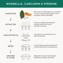 Together Health Joint Aid Food Supplement 30 Caps 12 Together Health Joint Aid Food Supplement 30 Caps -Optimal Home Furnishings 27995 4
