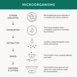 Together Health Bio-CoQ10 Food Supplement 30 Caps 12 Together Health Bio-CoQ10 Food Supplement 30 Caps -Optimal Home Furnishings 27997 4