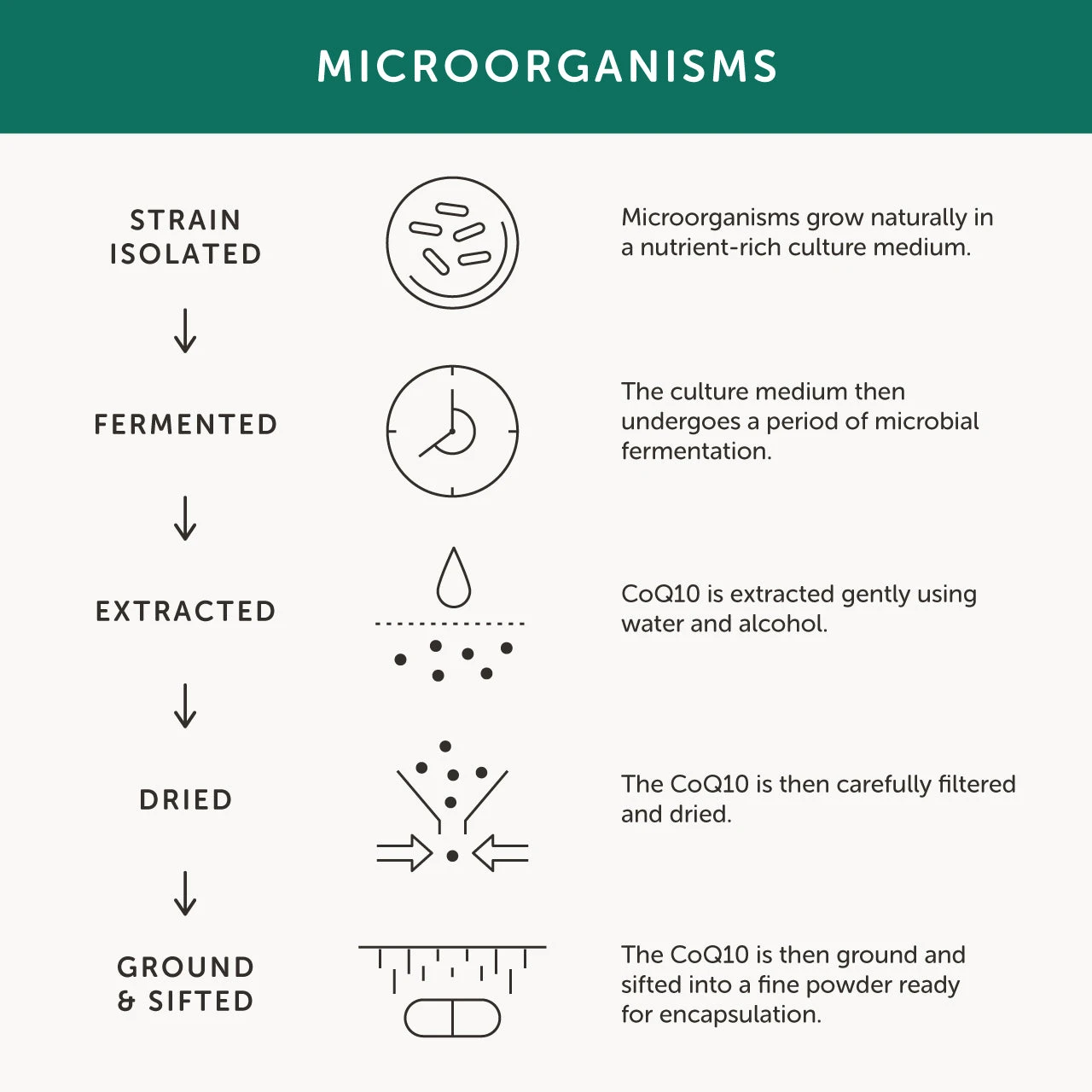 Together Health Bio-CoQ10 Food Supplement 30 Caps 7 Together Health Bio-CoQ10 Food Supplement 30 Caps - Image 5