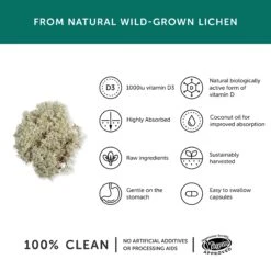 Together Health Vegan Vitamin D3 Food Supplement 30 Caps 11 Together Health Vegan Vitamin D3 Food Supplement 30 Caps -Optimal Home Furnishings 27998 3