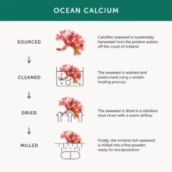 Together Bone Aid 60 Caps -Optimal Home Furnishings 38061 4