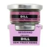Seggiano Semi Fresh Herbs - Dill 18g