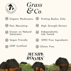 Grass & Co. BIOME Chaga Mushrooms With Curcumin + Ginger 60 Caps -Optimal Home Furnishings 43919 5