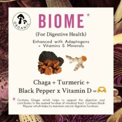 Grass & Co. BIOME Chaga Mushrooms With Curcumin + Ginger 60 Caps -Optimal Home Furnishings 43919 6