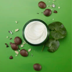 Weleda Skin Food Nourishing Night Cream 40ml -Optimal Home Furnishings 44459 3