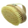 Hydrea Dry Skin Brush With Cactus Each -Optimal Home Furnishings Hydrea Dry Skin Brush with Cactus each 22506 1db685ca 0850 4d54 a385 41963d4abeb8