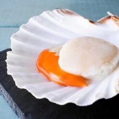 The Fresh Fish Shop Hand Dived Scallops 200g -Optimal Home Furnishings The Fresh Fish Shop Hand Dived Scallops 200g 41716 3 236e0ab3 7c69 4194 9cec 8818194a8ca3
